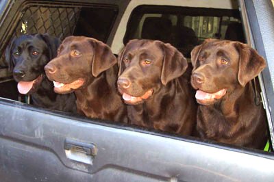 Deja and her daughters.jpg - 24415 Bytes
