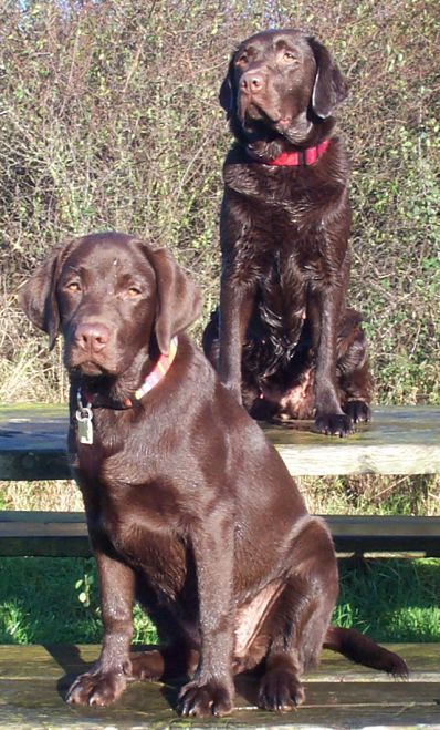 bonnie and sasha 19wjs hackney 005