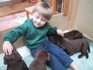 6-ben&pups.jpg - 21191 Bytes