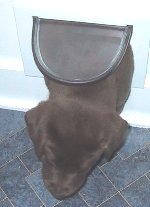 8-catdoor.jpg - 7213 Bytes