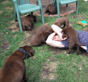 8-paul&pups2.jpg - 37307 Bytes
